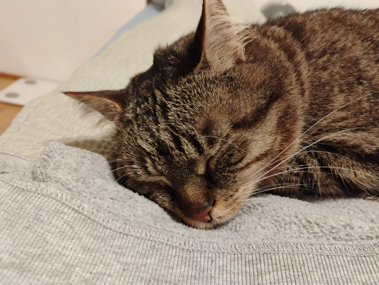Moto G34 5G photo