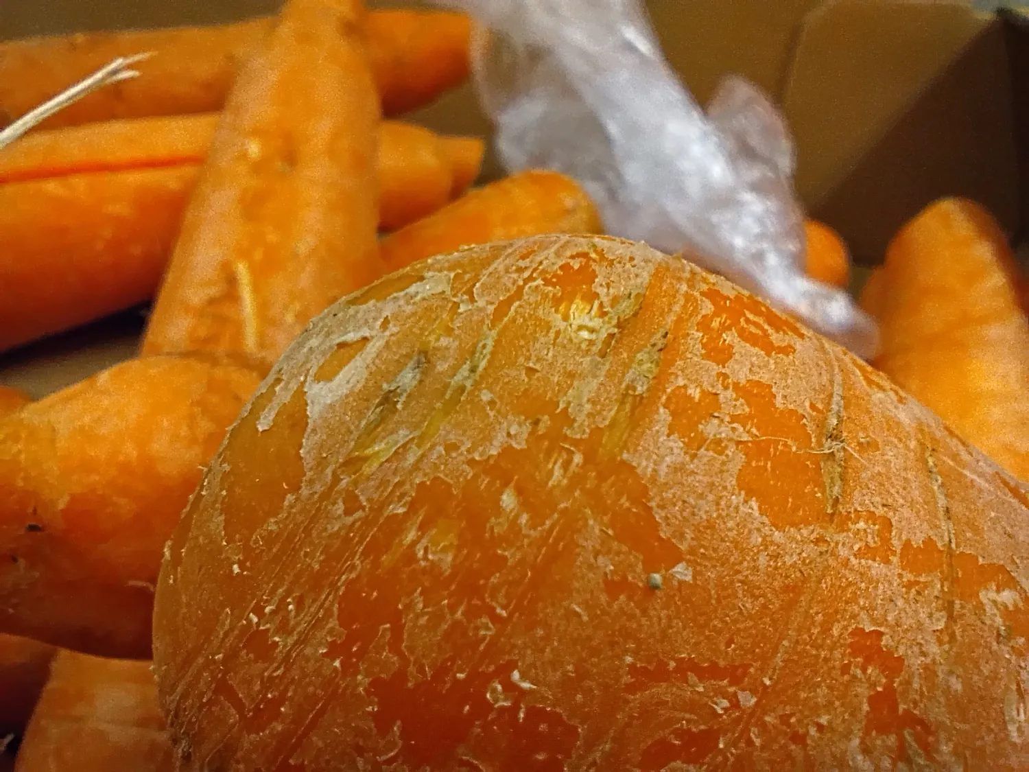 Moto G34 photo macro