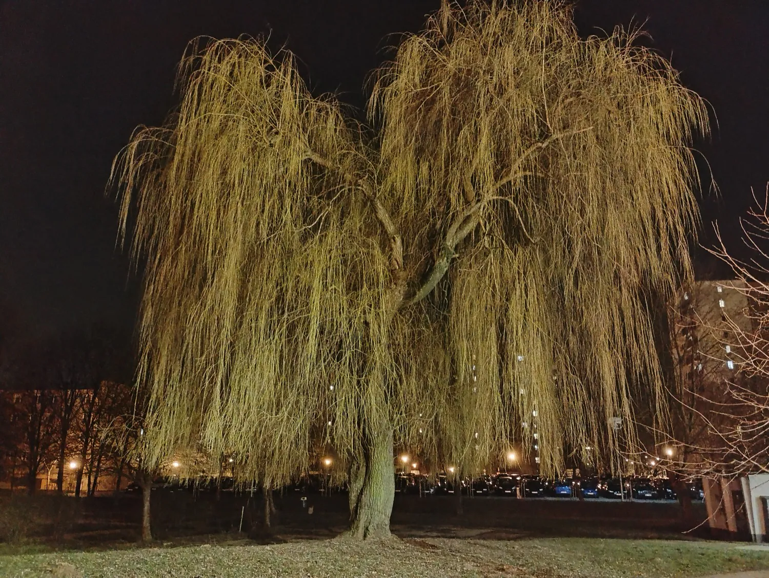 Moto G34 photo night