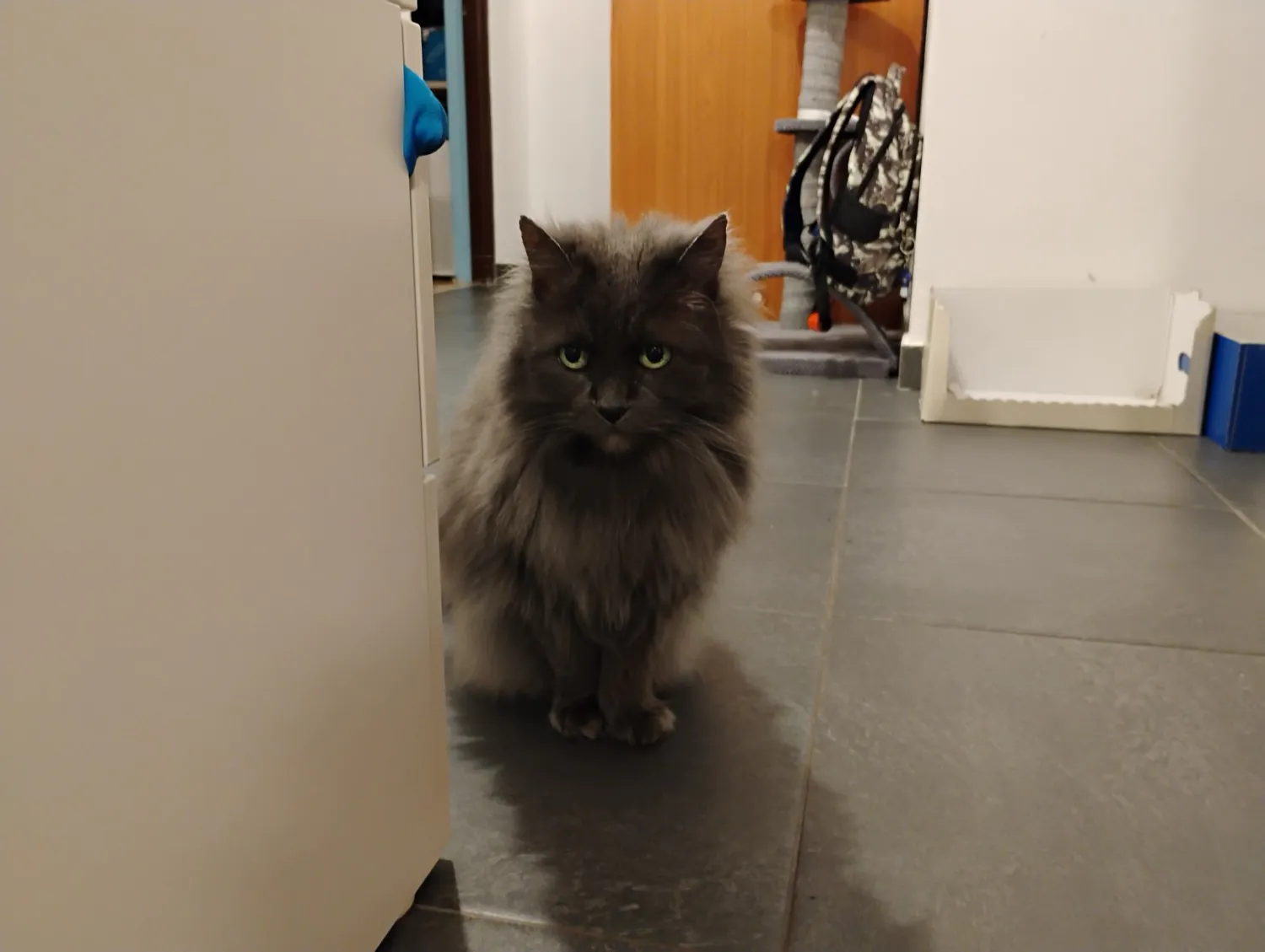 Moto G34 5G photo