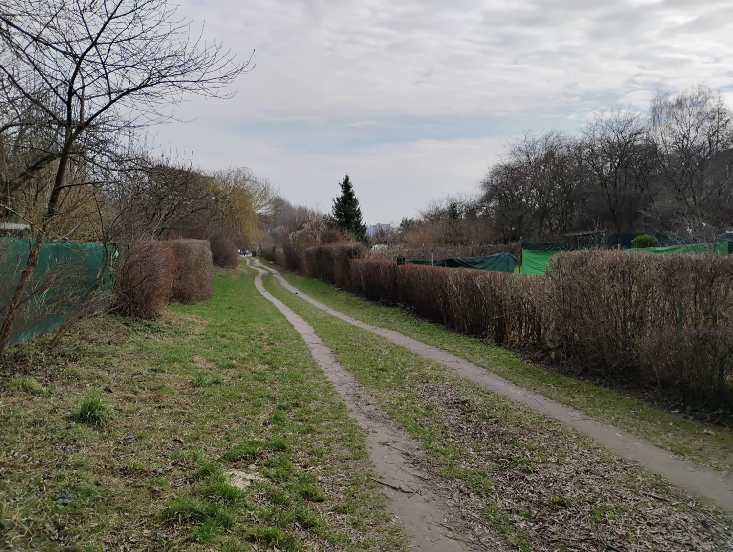 Moto G34 5G photo