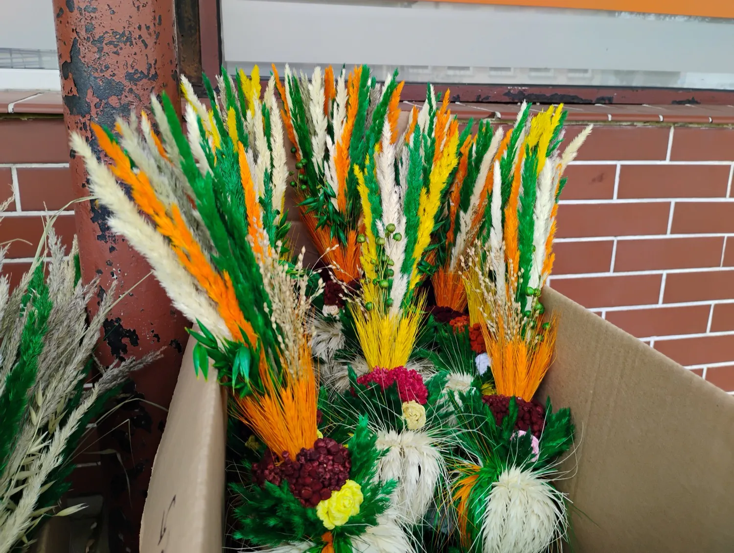 Moto G34 5G photo