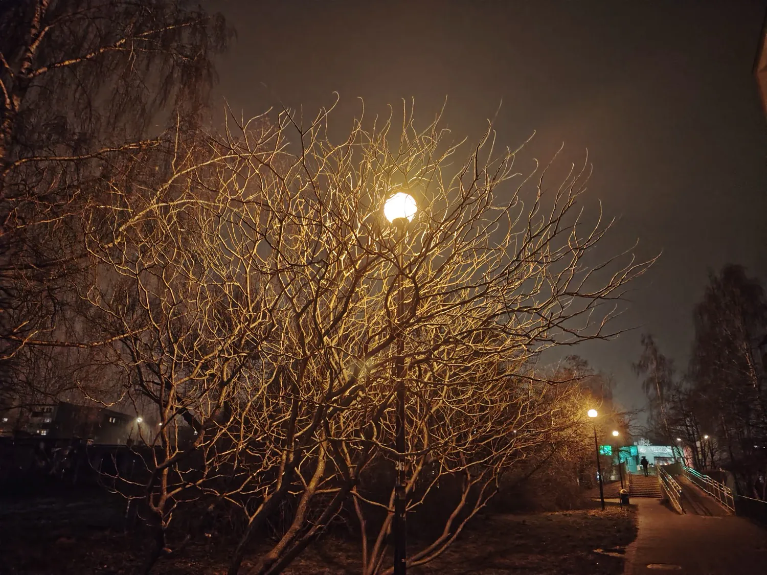 HONOR Magic6 Lite - night photo
