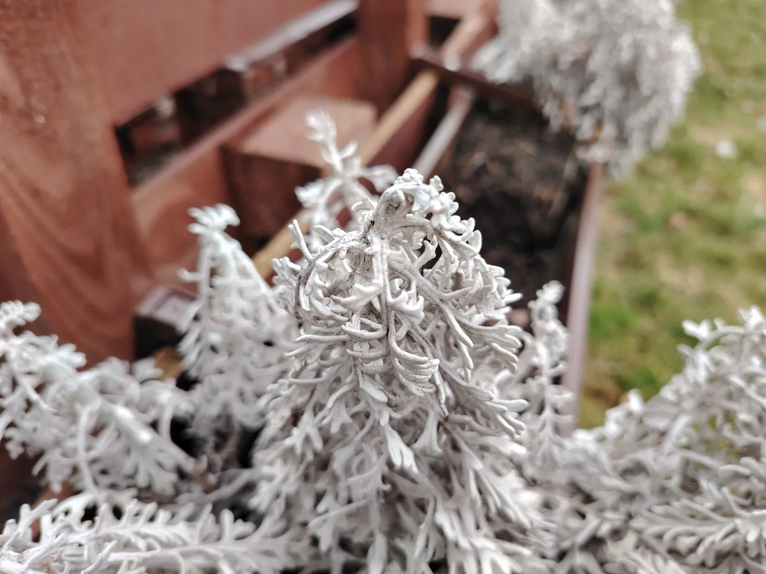 HONOR Magic6 Lite - photo samples