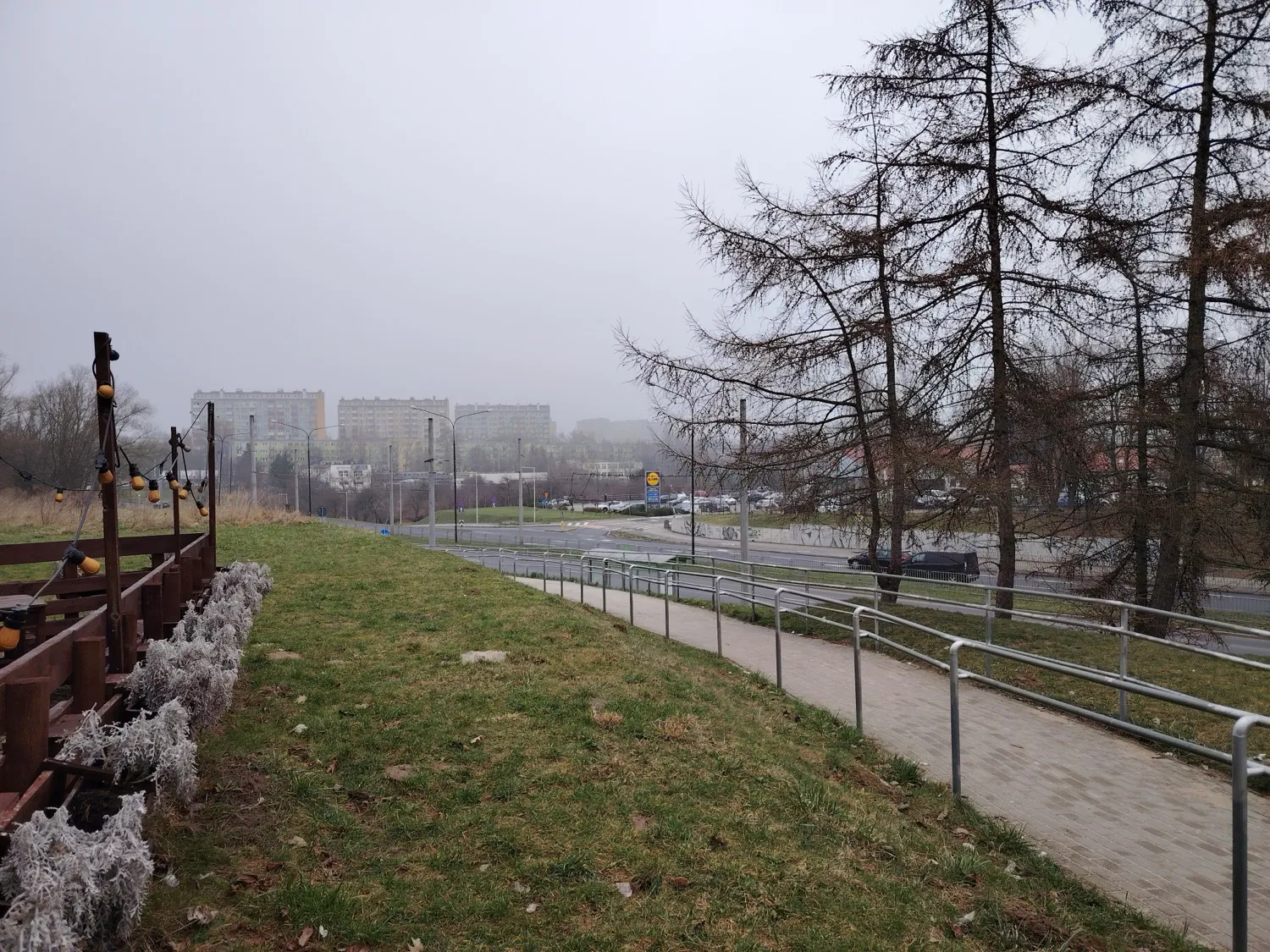 HONOR Magic6 Lite - photo samples