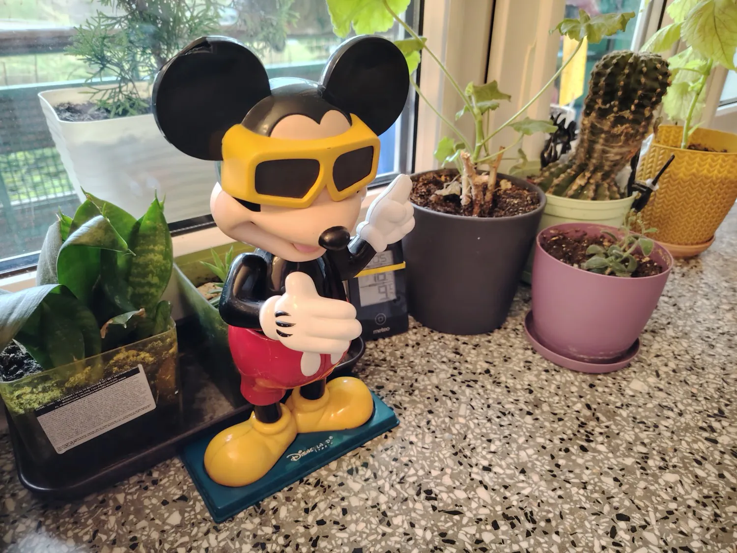HONOR Magic6 Lite - photo samples