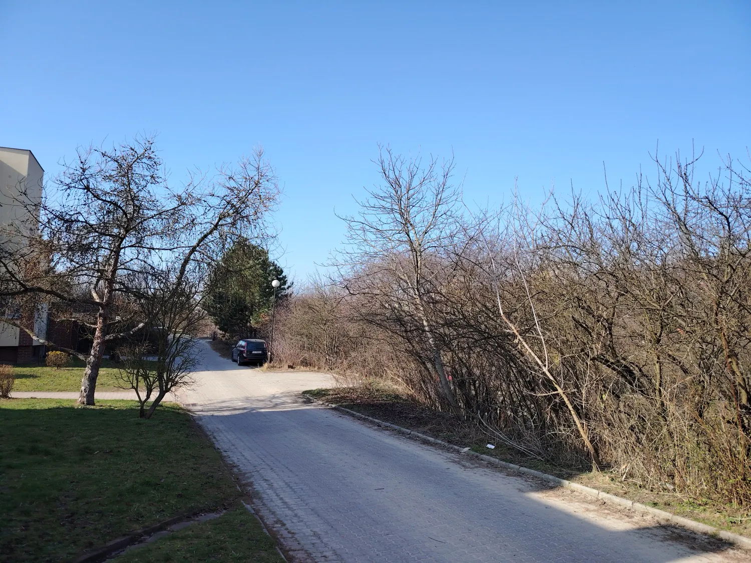 HONOR Magic6 Lite - photo samples