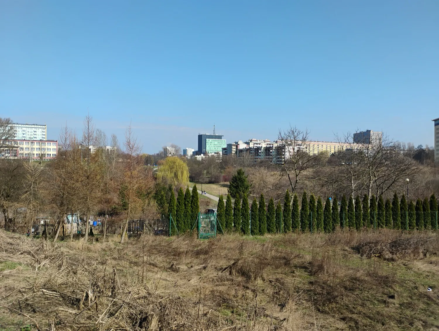 Moto G34 5G photo