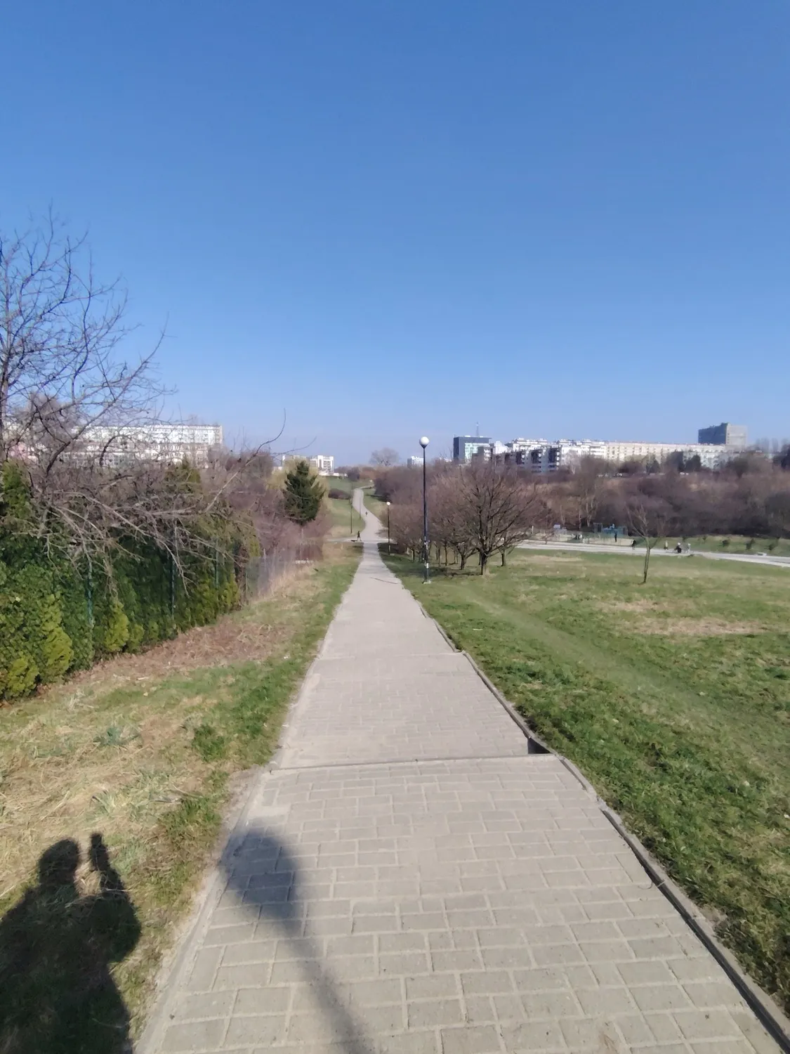 HONOR Magic6 Lite - photo samples
