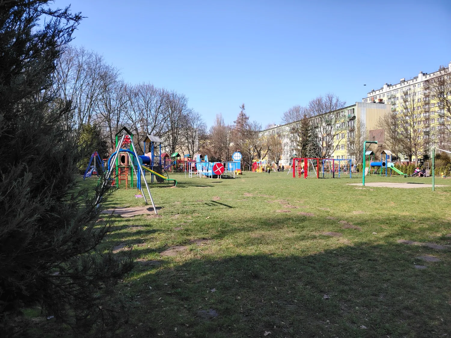 HONOR Magic6 Lite - photo samples