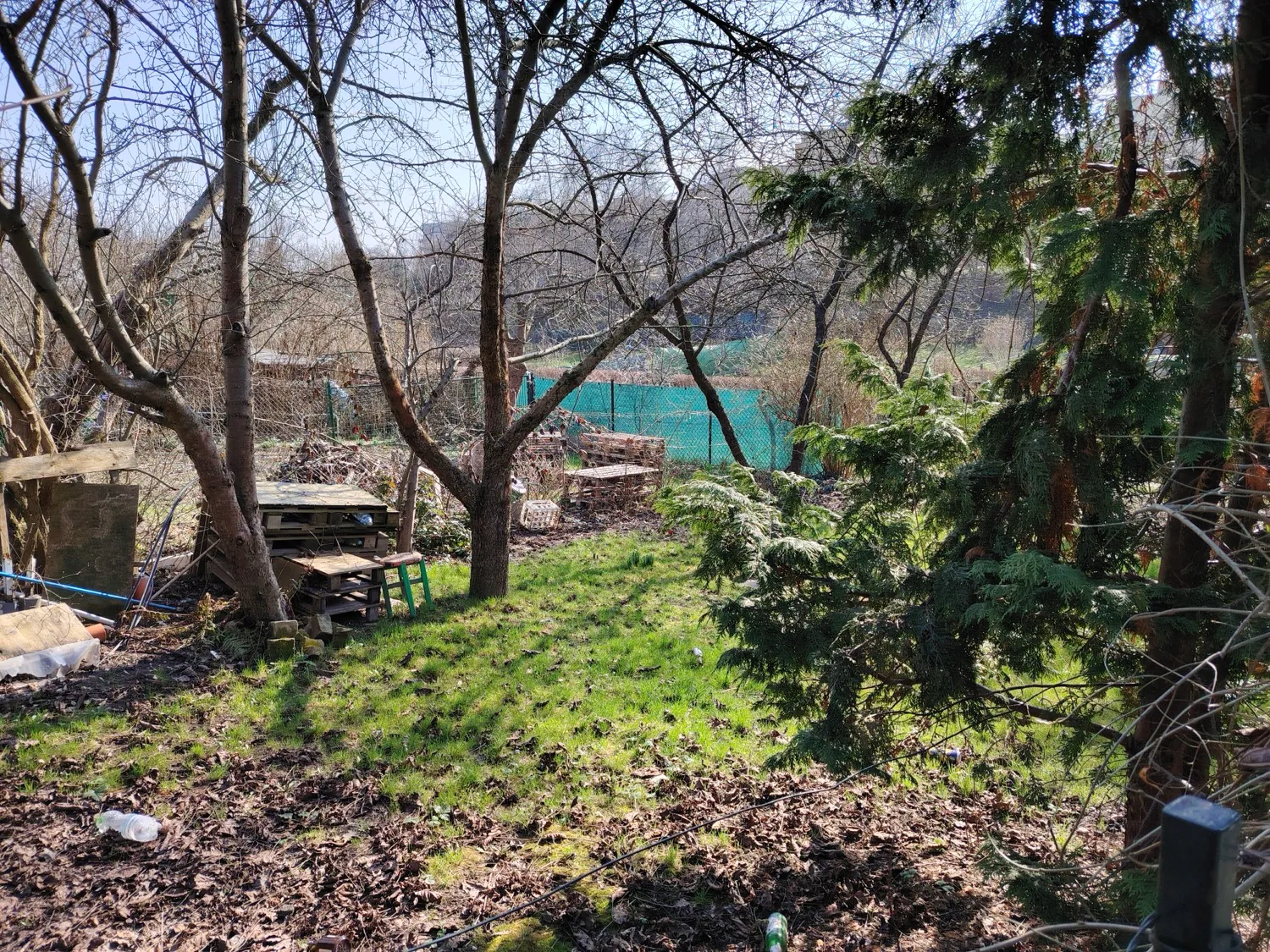 HONOR Magic6 Lite - photo samples