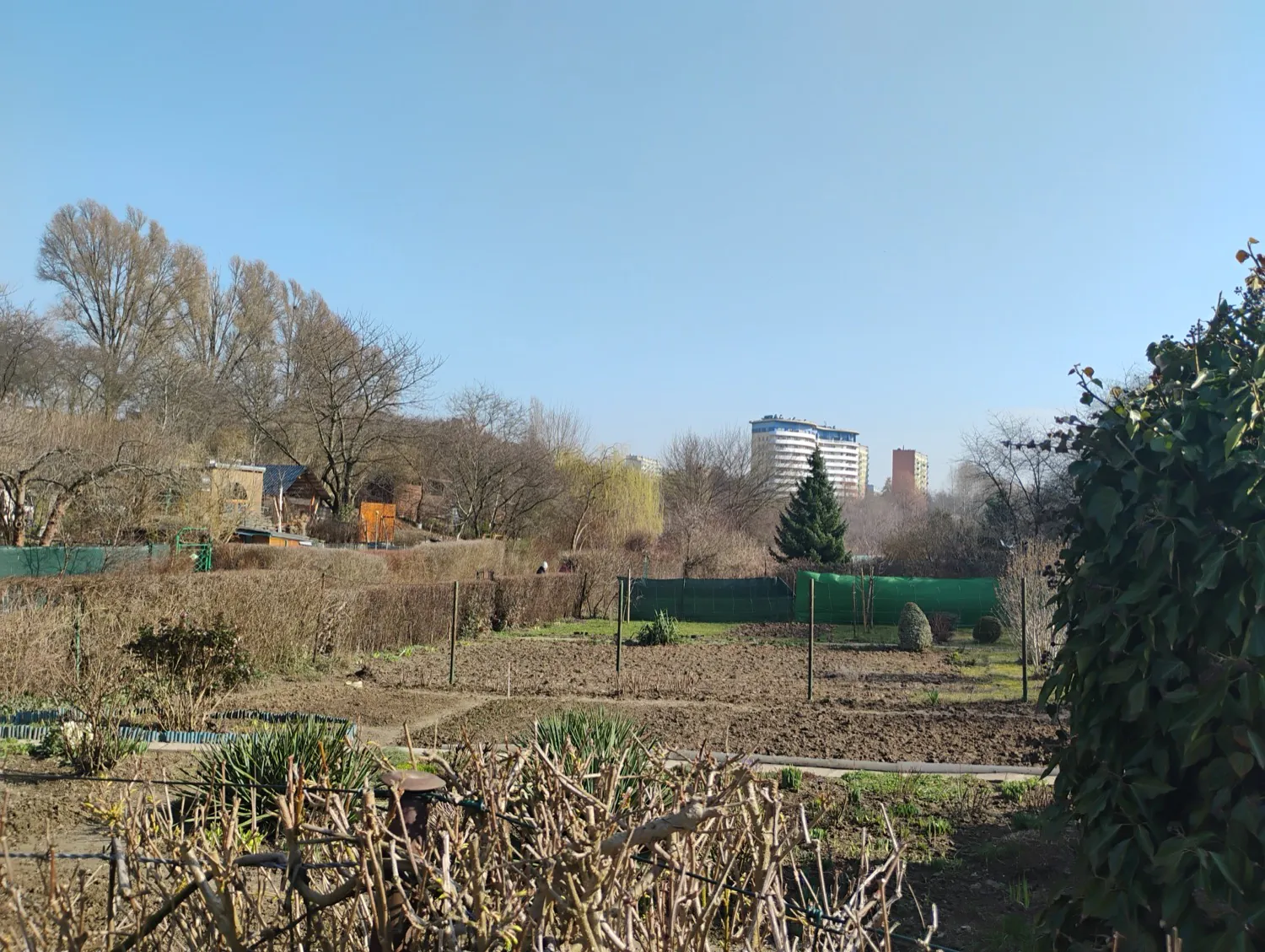 Moto G34 5G photo