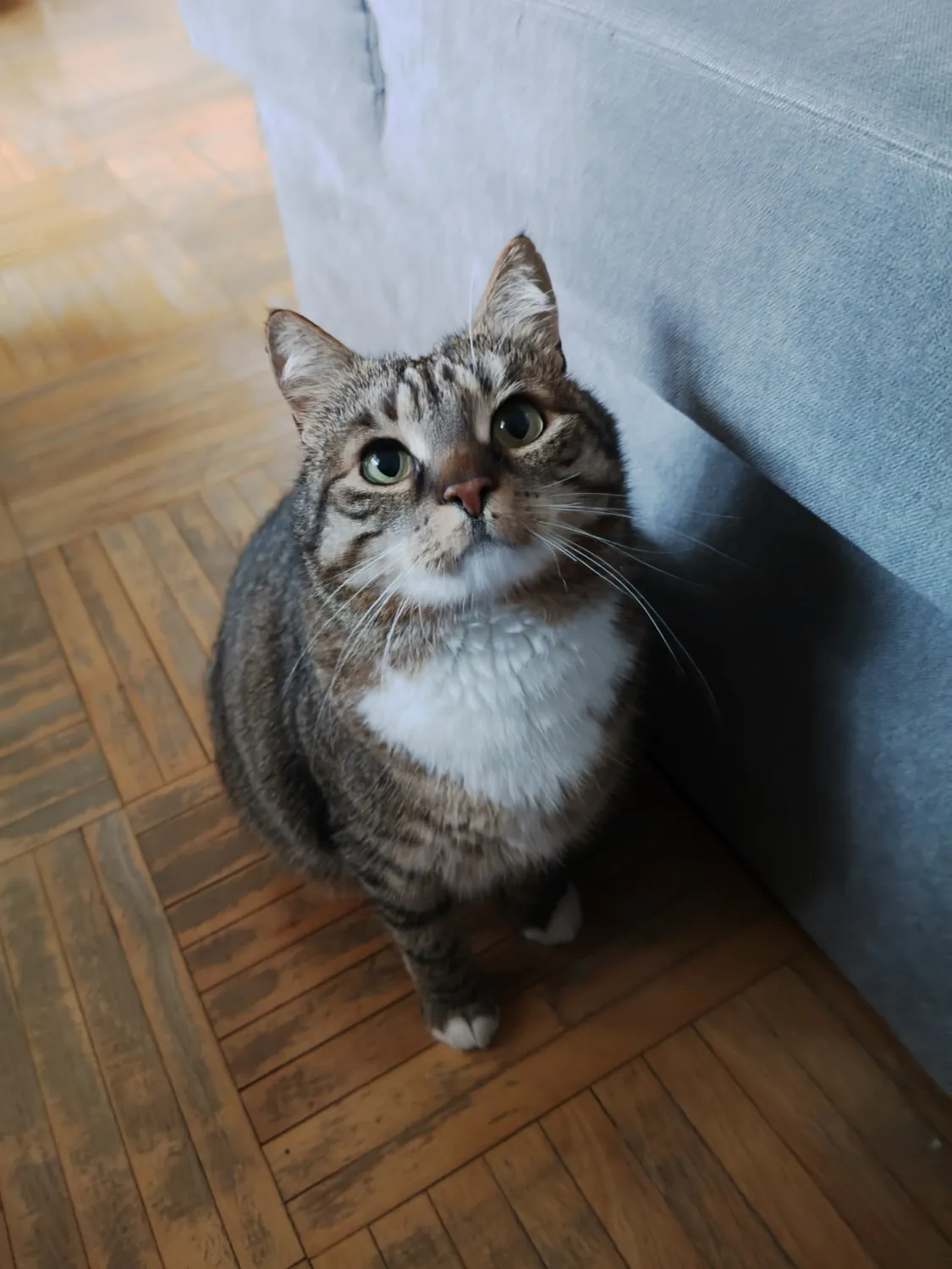 realme 12 Pro photo