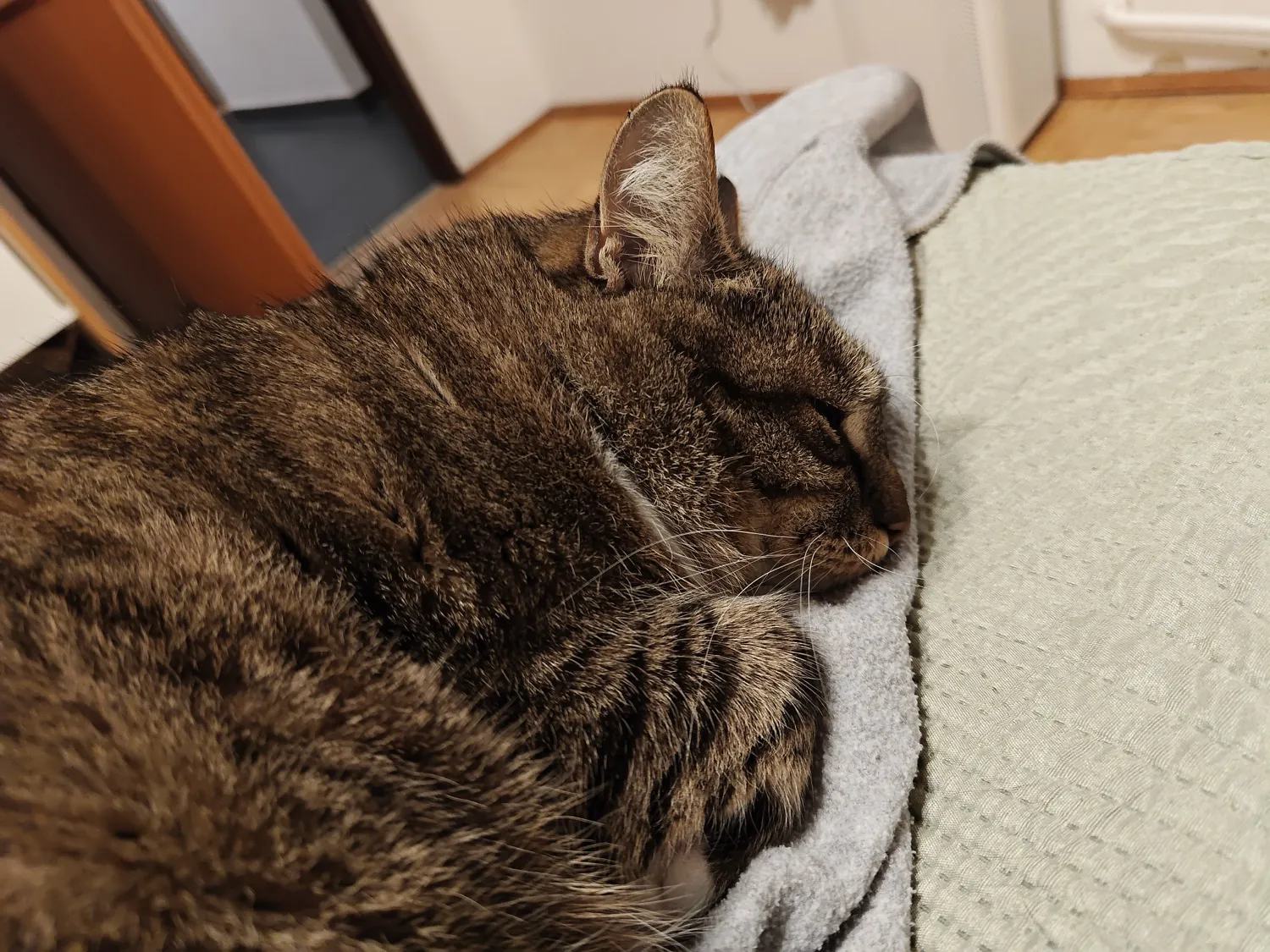 ASUS ROG Phone 8 Pro Photo