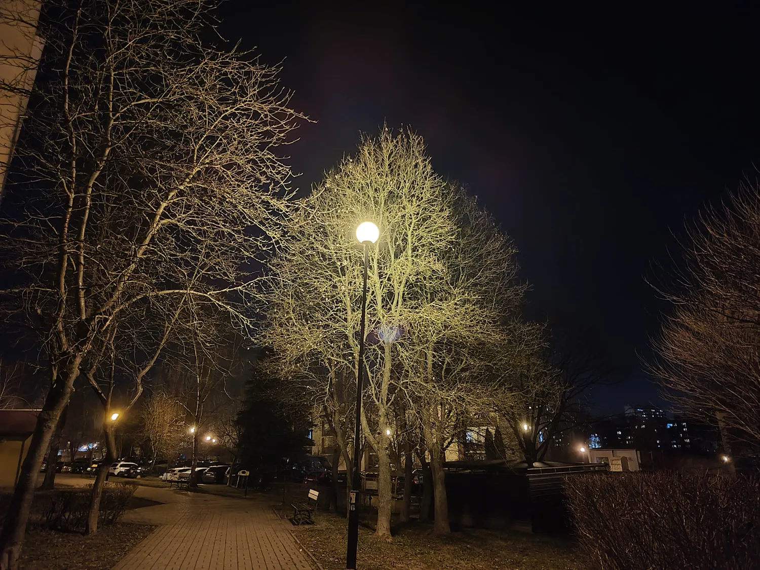 ASUS ROG Phone 8 photo night
