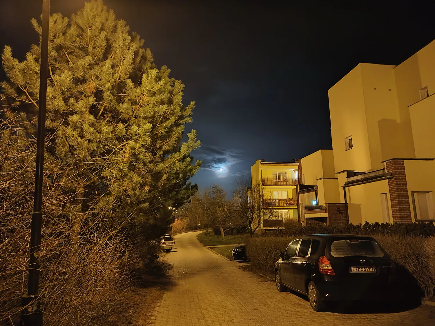 ASUS ROG Phone 8 photo night
