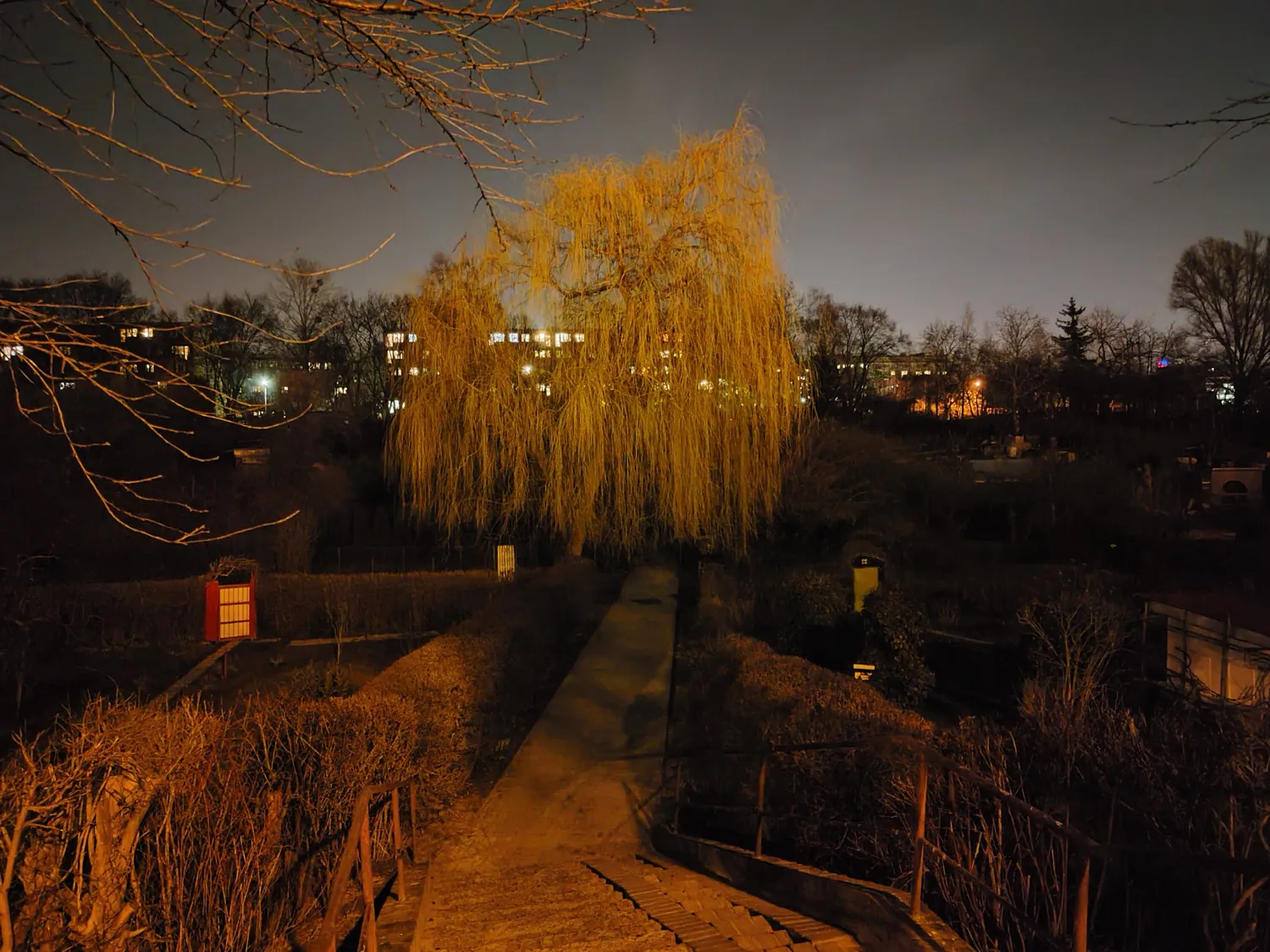 ASUS ROG Phone 8 photo night