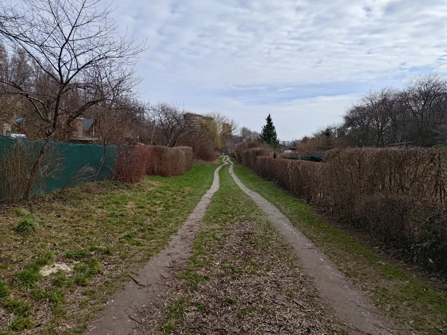ASUS ROG Phone 8 Pro Photo