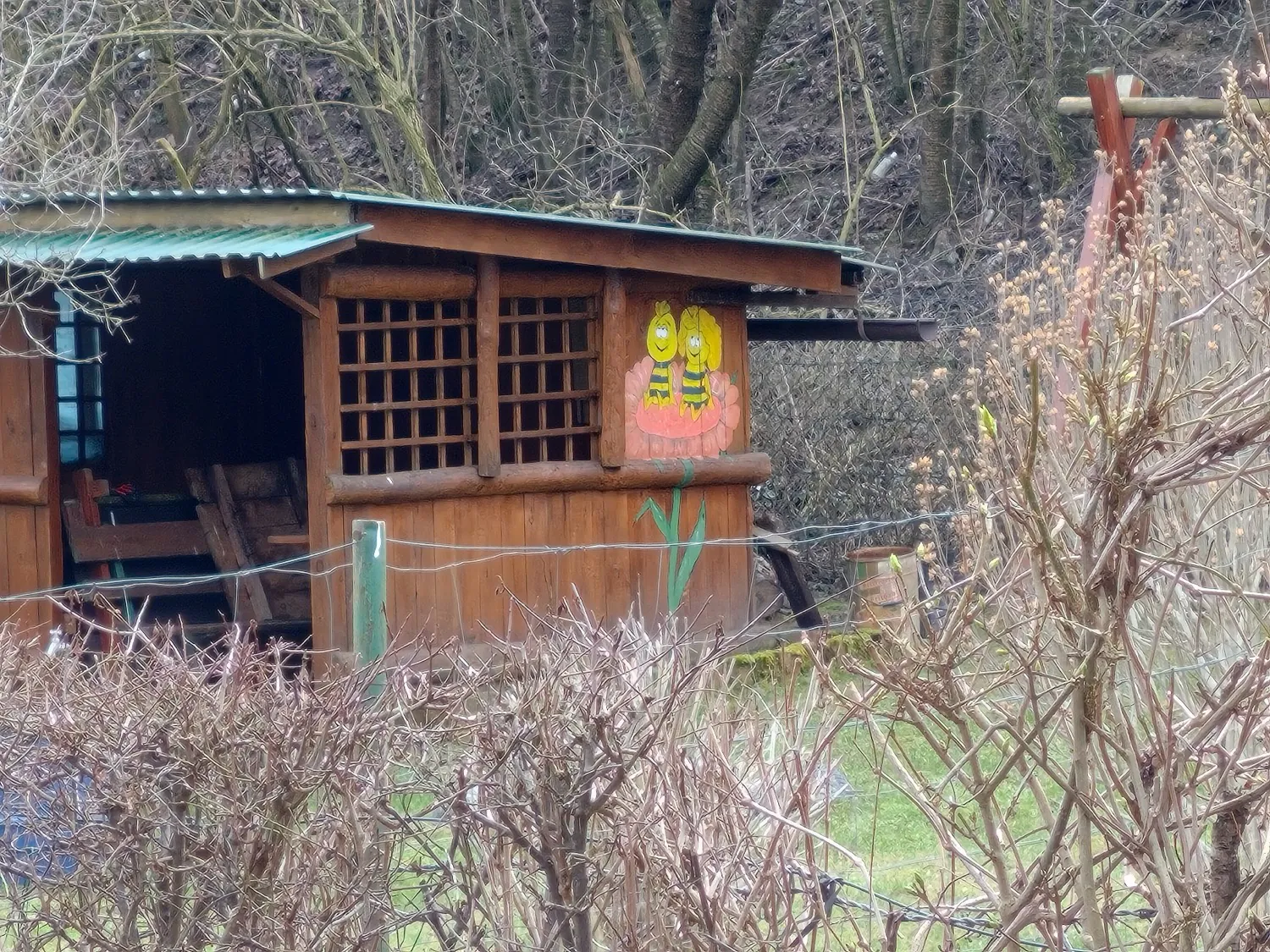 zoom photo