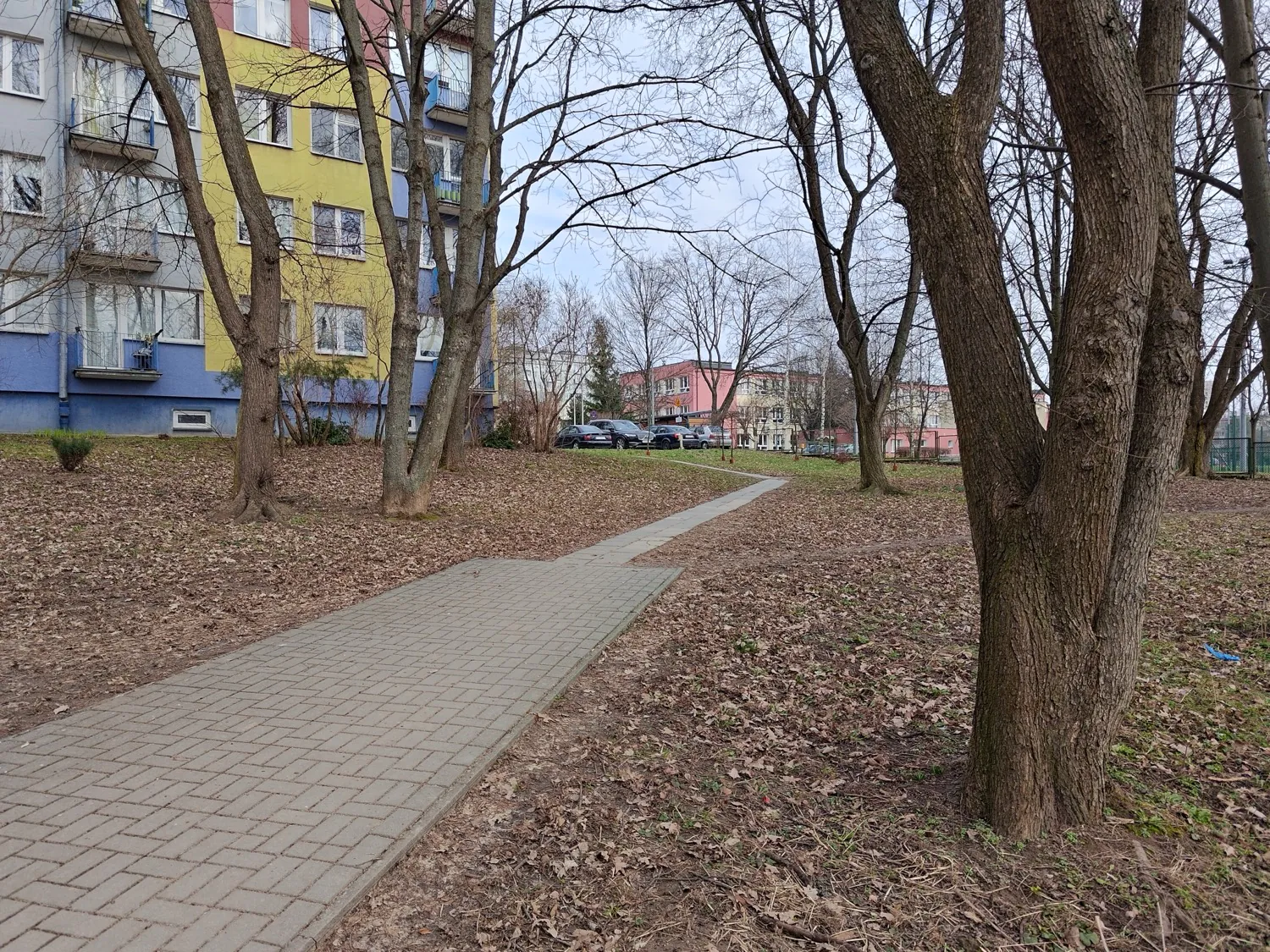 zoom photo