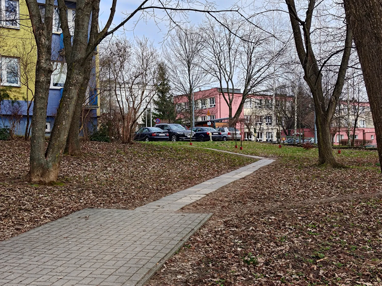 zoom photo