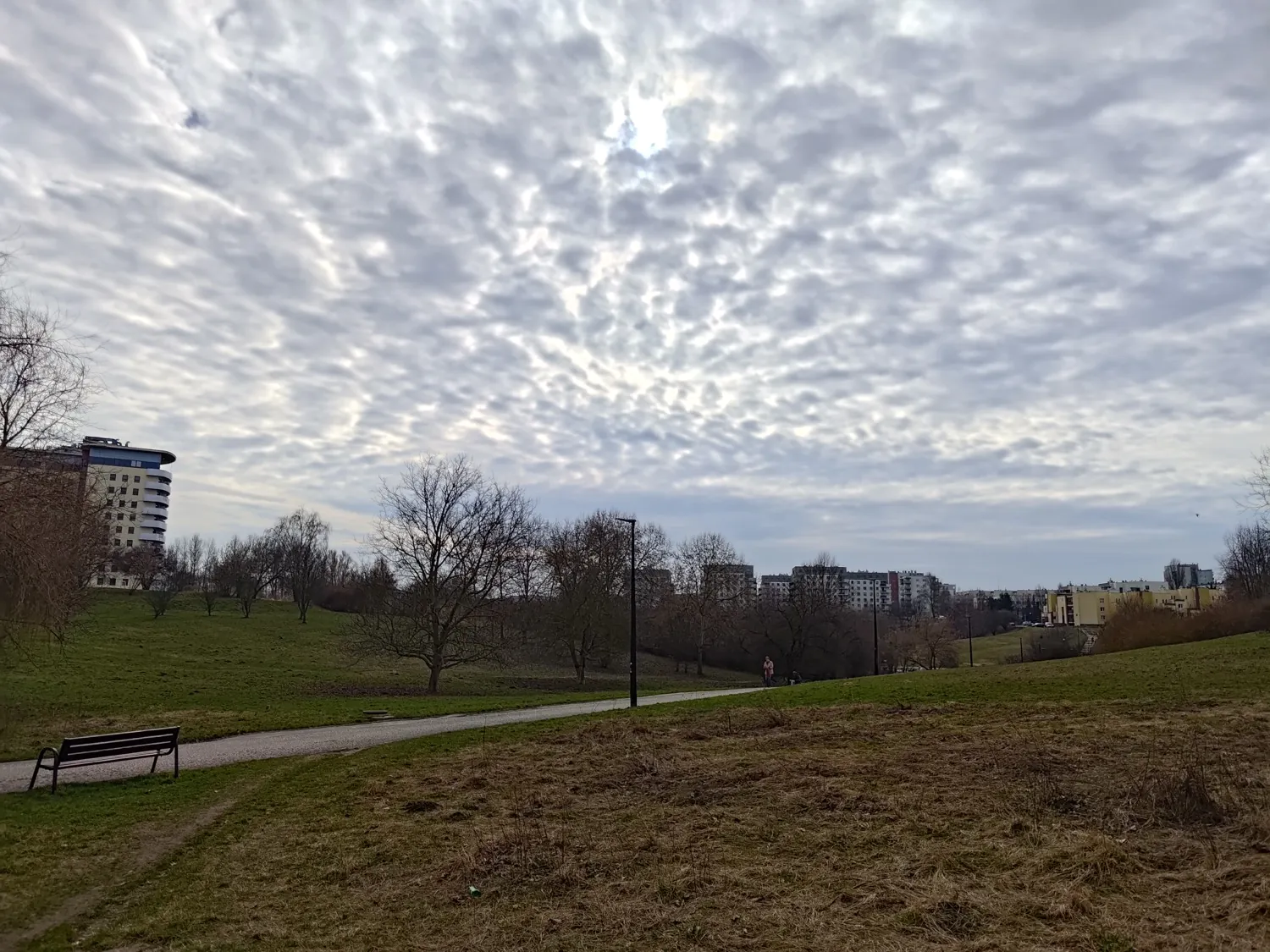 ASUS ROG Phone 8 Pro Photo