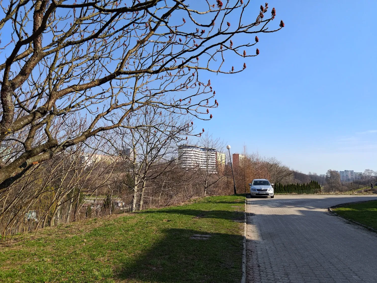 ASUS ROG Phone 8 Pro Photo