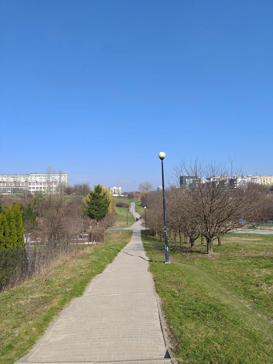 ASUS ROG Phone 8 Pro Photo