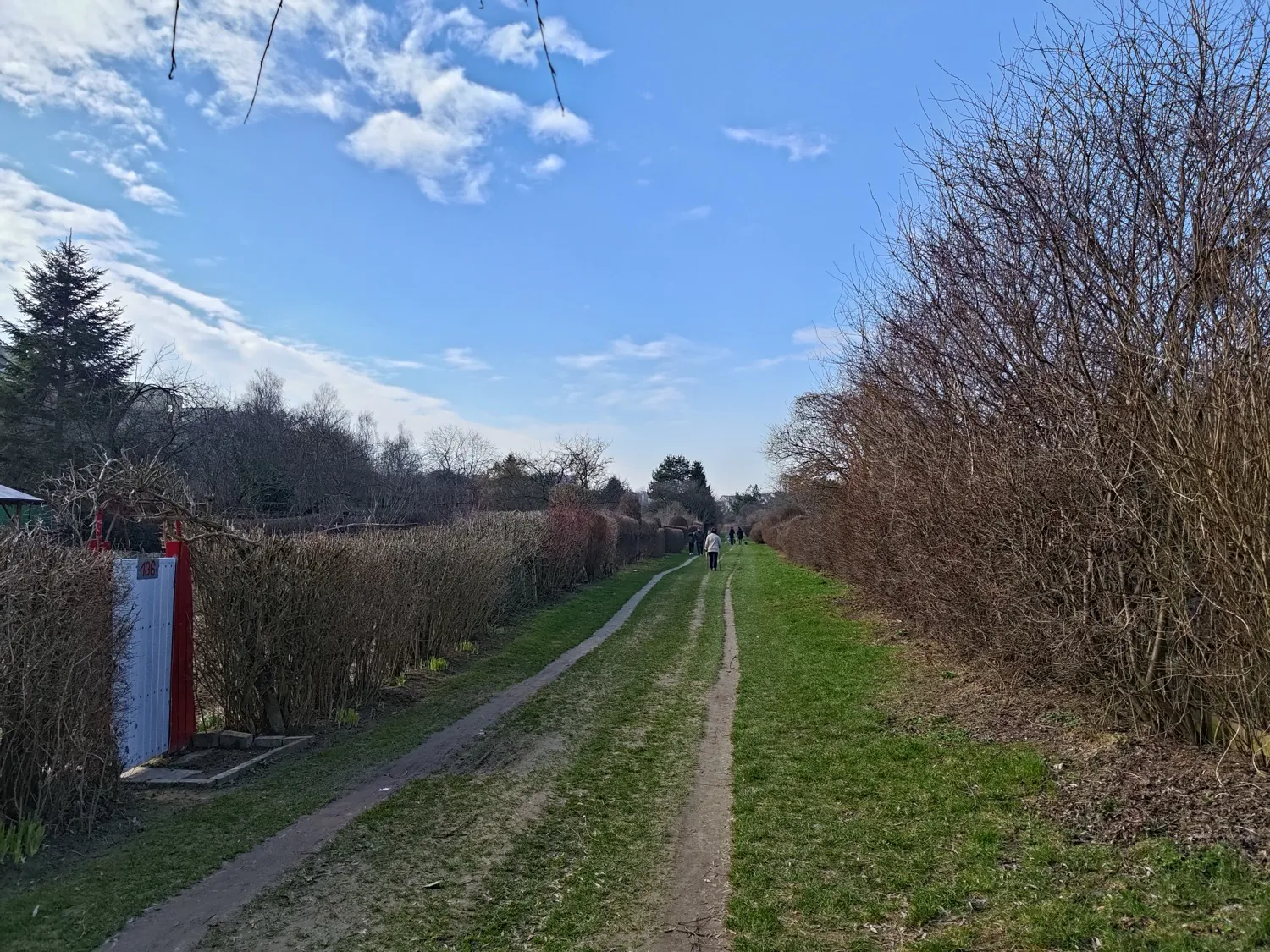 ASUS ROG Phone 8 Pro Photo