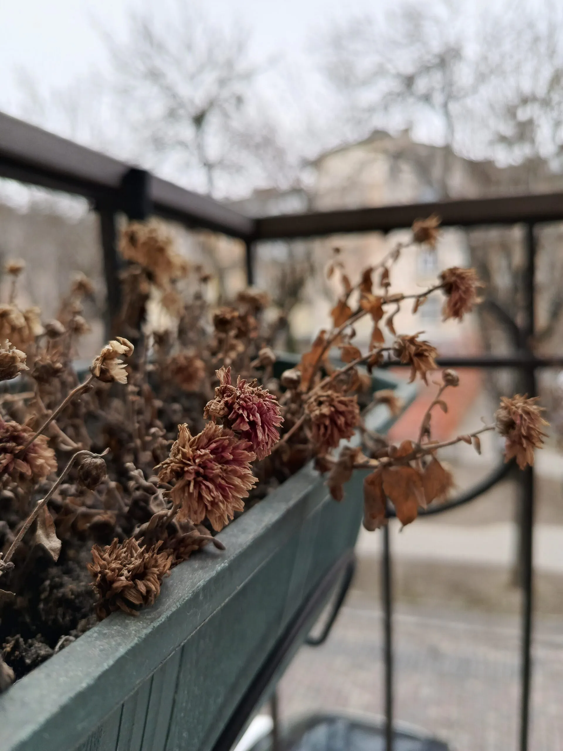 TECNO SPARK 20 Pro+ photo