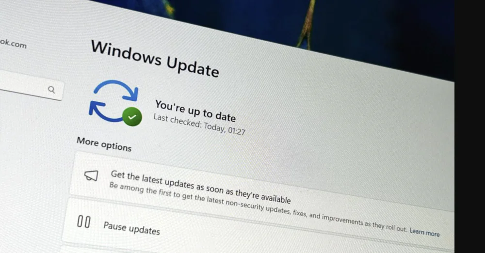 Windows 11 Moment 5