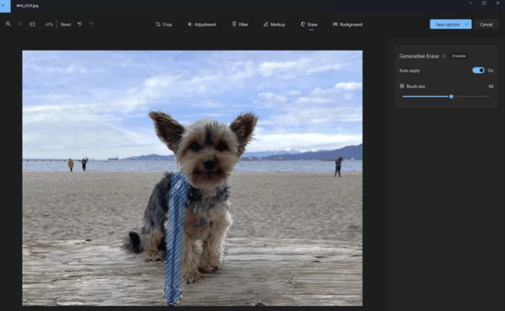 Windows 11 Moment 5