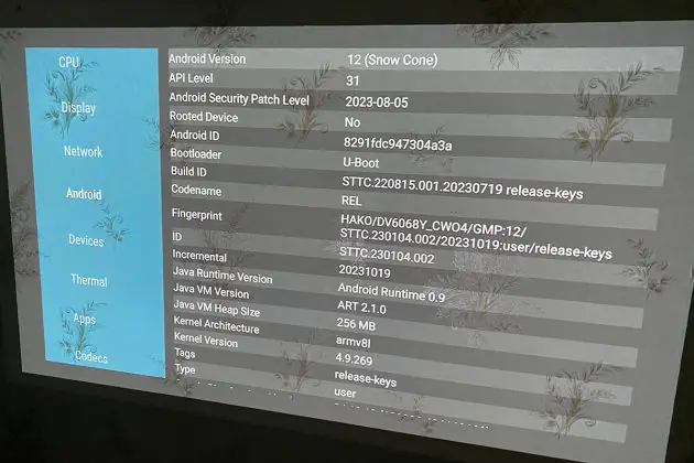 ASUS ZenBeam L2