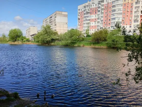 moto G24