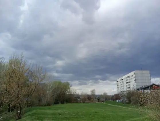 moto G24
