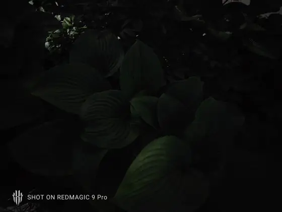 REDMAGIC 9 Pro