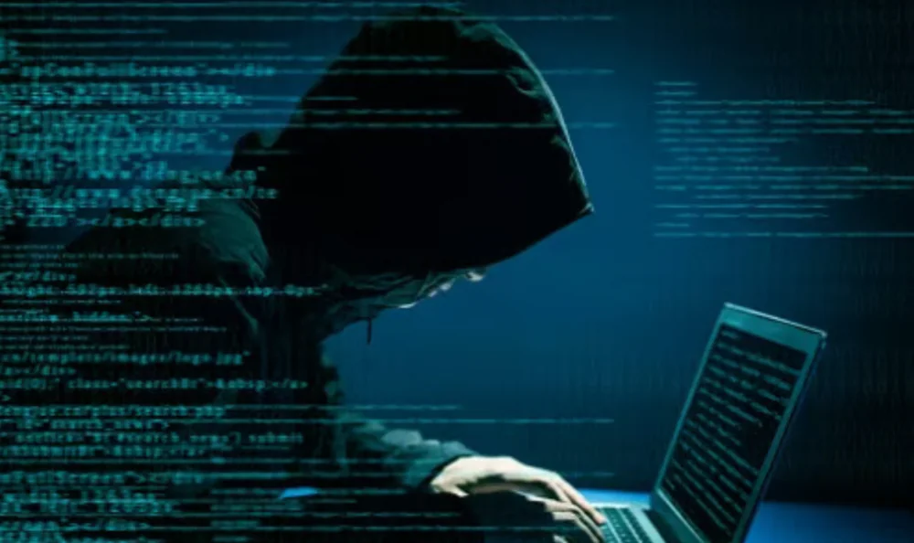 Dark web report