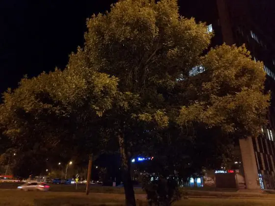 realme C61 foto notturna