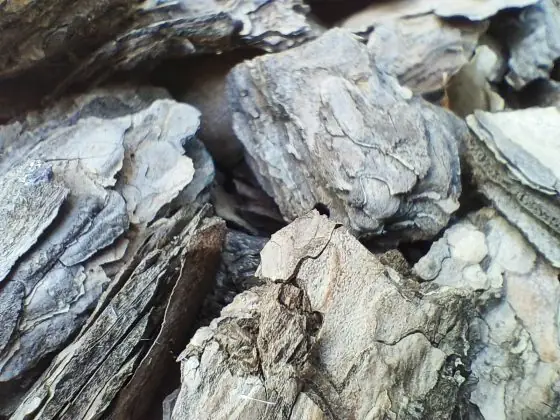 Infinix Macro GT20 Pro