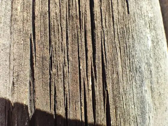 Infinix Macro GT20 Pro