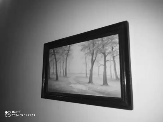 Phonemax R4GT - Night Vision Camera Test