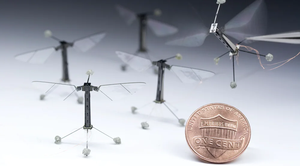 RoboBee