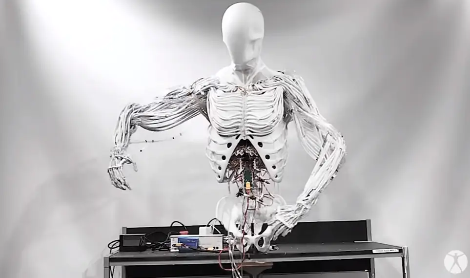 Clone Robotics