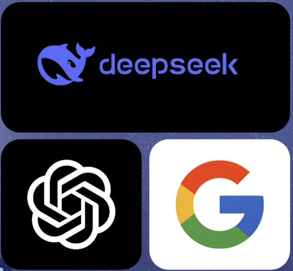 DeepSeek