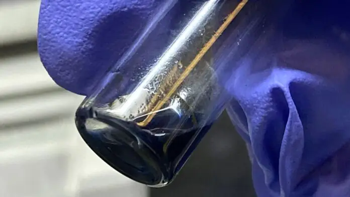 Berkelocene