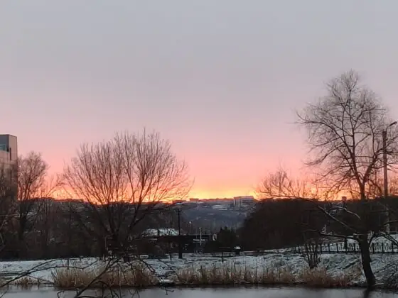 Рено13