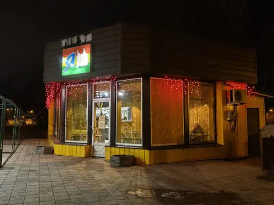 Рено13