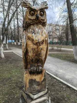 Рено13