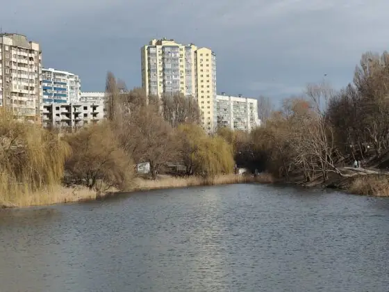 Рено13