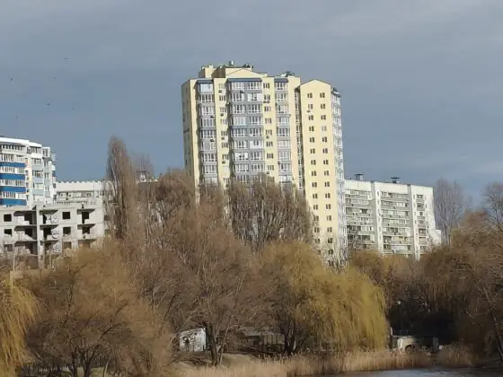 Рено13